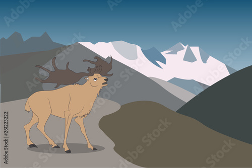 deer running in the mountains