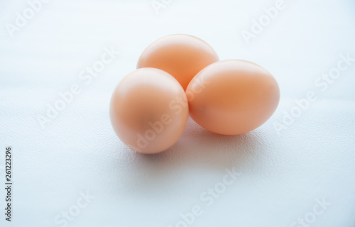 Group of eggs on white tone.