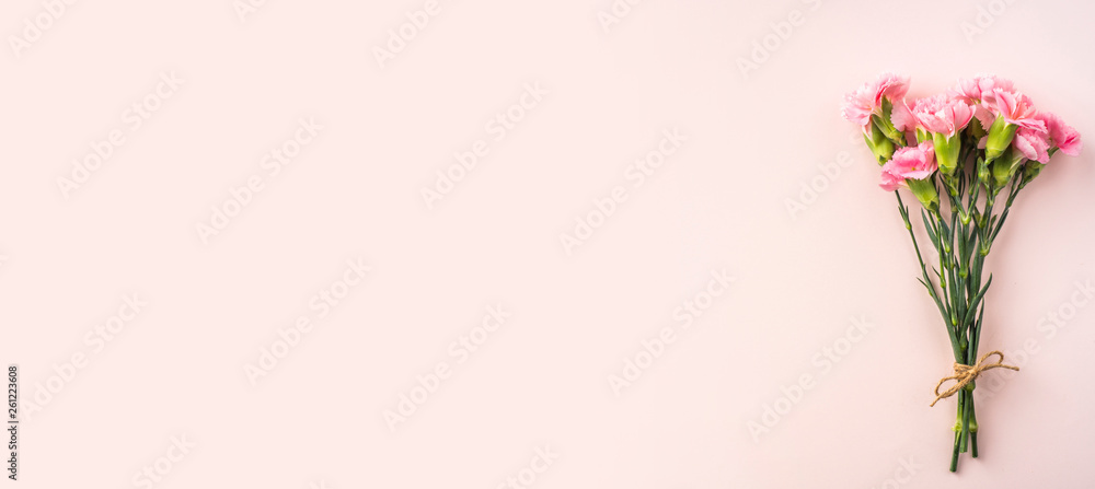 top view of carnation on pink background top view of carnation on pink background
