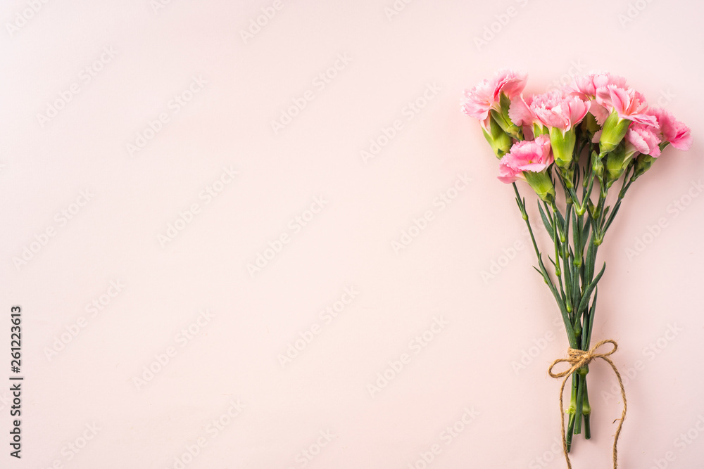 top view of carnation on pink background