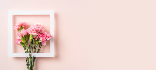top view of carnation with white frame on pink