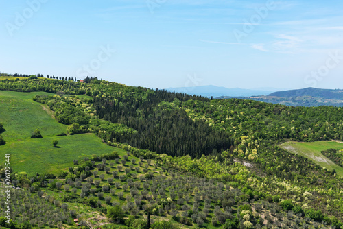 Fototapeta Naklejka Na Ścianę i Meble -  Amazing spring colorful landscape in Tuscany, Italy.
