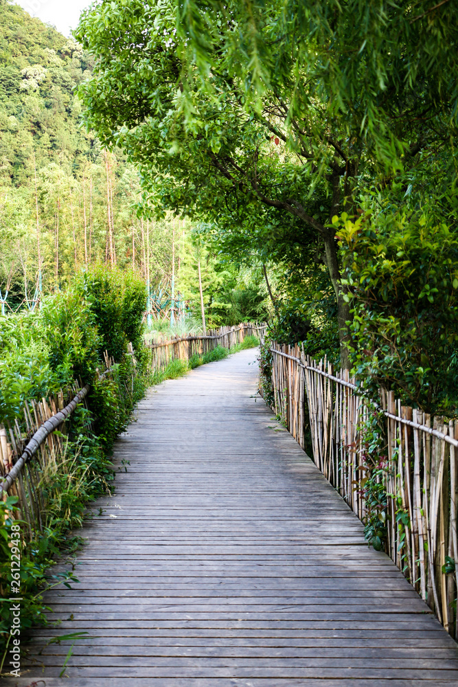 Obraz premium most w lesie