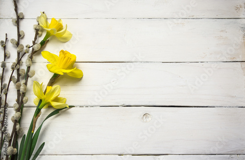 Spring flowers on the wooden background, yellow easter daffodils