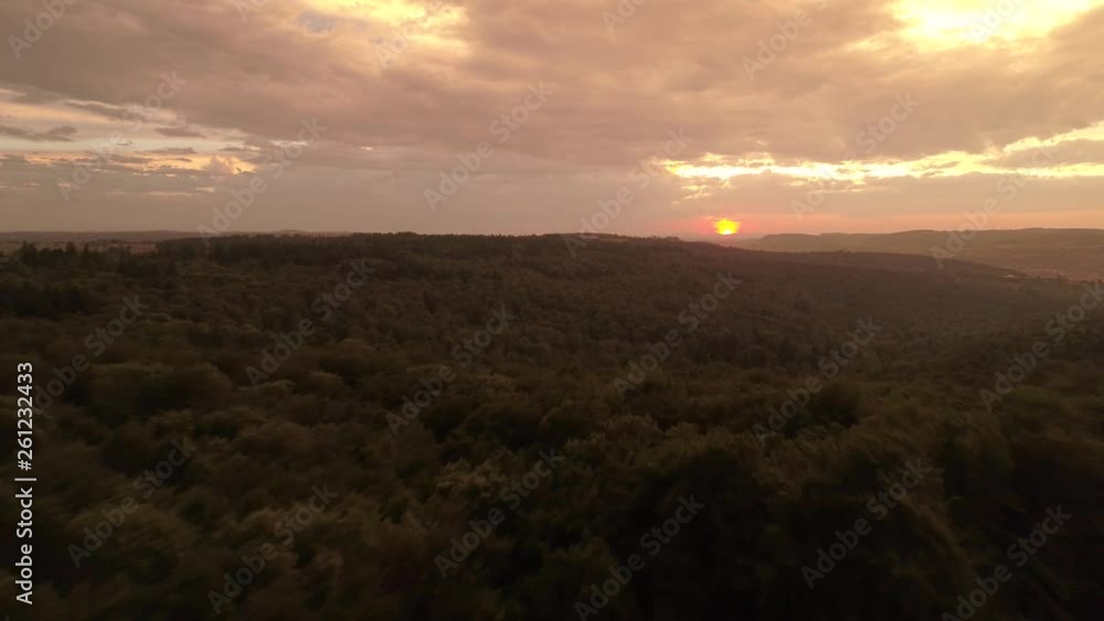 Drone flight - Overflight of forest in Germany at sunset Drone flight - Overflight of forest in Germany at sunset