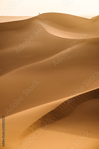 Vast expanses of desert and a small figure of a man in the distance