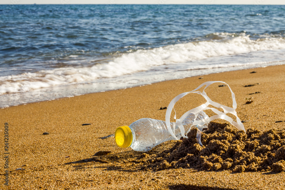 Plastic pollution. A plastic bottle and a six pack plastic rings on the