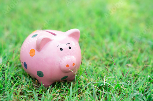 Piggy bank on green grass with sun light in the morning, select focus