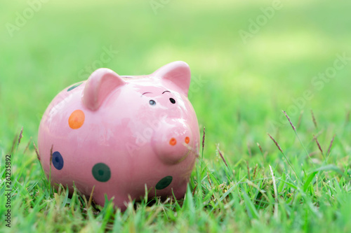 Piggy bank on green grass with sun light in the morning, select focus