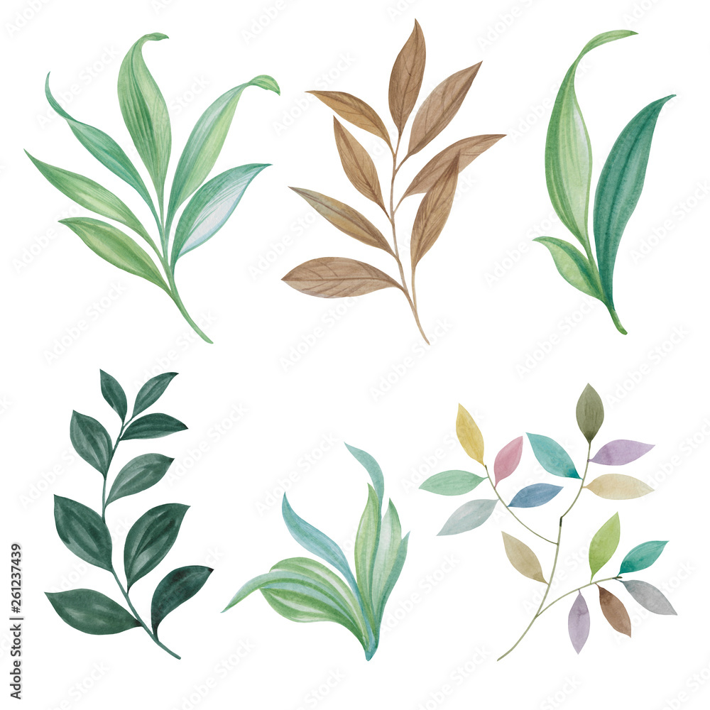 A set of leaves. Watercolor painting set of leaves on a white background. Hand draw watercolor illustration. Design element. Elegant leaves for art design. A set of leaves. Watercolor painting set of leaves on a white background. Hand draw watercolor illustration. Design element. Elegant leaves for art design.