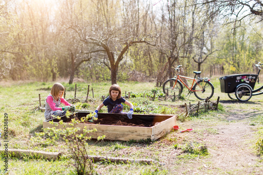 Two young girls gardening in urban community garden Two young girls gardening in urban community garden