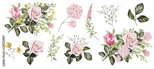 Watercolor illustration. Botanical collection. Set of wild and garden flowers.  Leaves,flowers, pink roses and other natural elements.