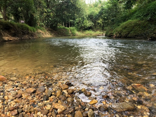 fast running river in the jungle with beautiful stones , clear water and tropical vegetation in Thailand in Phuket