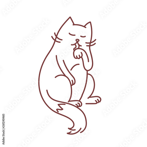 Calm cat licks paw grooming