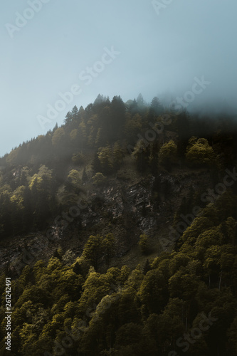 mountain in the mist