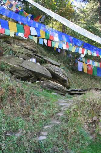 prayer flags in jakar (bhutan)