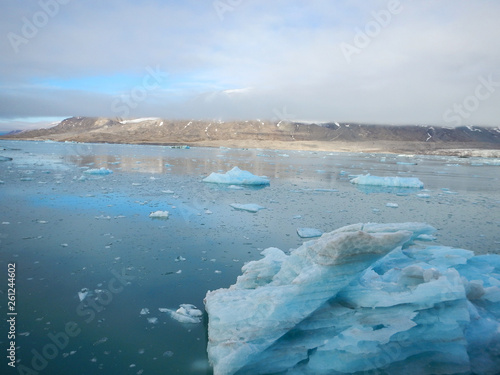 Arctic Blue Icebergs 8