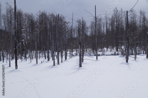 Shirogane Blue Pond Winter