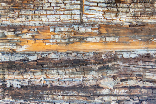 charred texture of burnt wood
