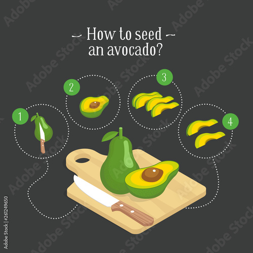 How to seed an avocado. Vector illustration of step-by-step instruction. Avocado pieces set. Isometric organic healthy food. Tropical vegetable.