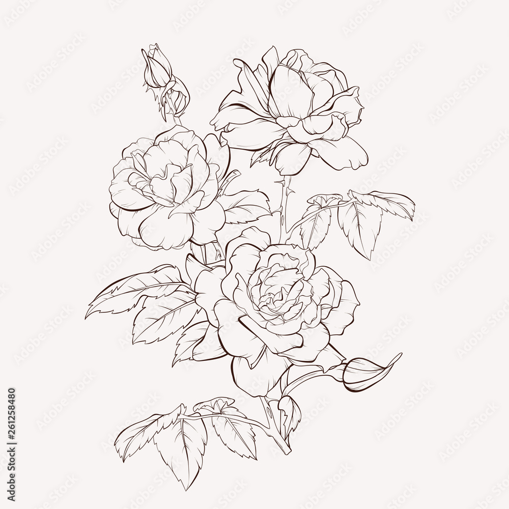 35 Best Realistic flower drawing ideas | flower drawing, realistic flower  drawing, drawings