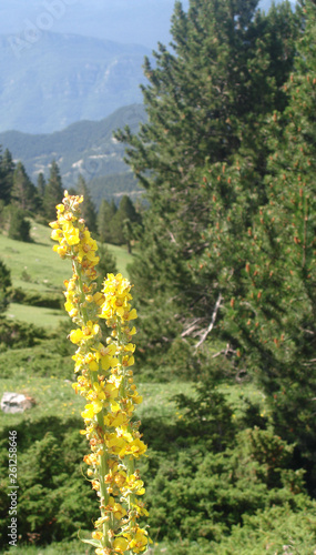 RINCONES DE ESPAÑA