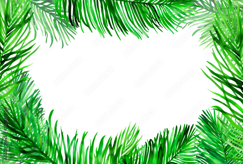 Watercolour horizontal frame with palm leaves on white Watercolour horizontal frame with palm leaves on white