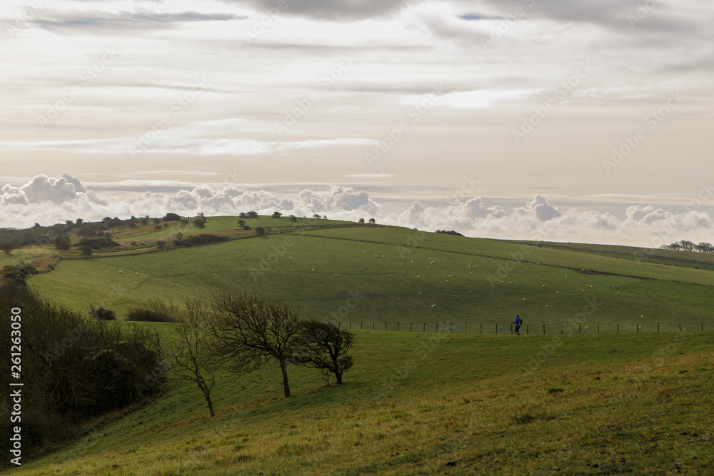 Fototapeta premium Pradera verde con nubes en el cielo 