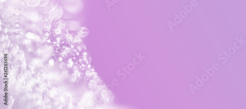 Fototapeta Naklejka Na Ścianę i Meble -  Luxury abstract lilac background. For weddings or celebrations. Banner with copy space