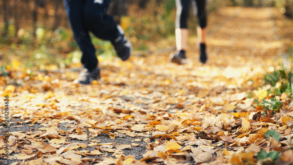 Closeup of legs running through an autumn park Closeup of legs running through an autumn park
