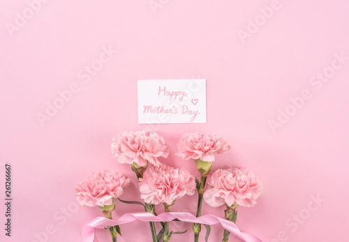 Top view, flay lay, copy space, close up, mock up, mothers day thanks design concept. Beautiful fresh blooming baby pink color carnations isolated on bright pink background