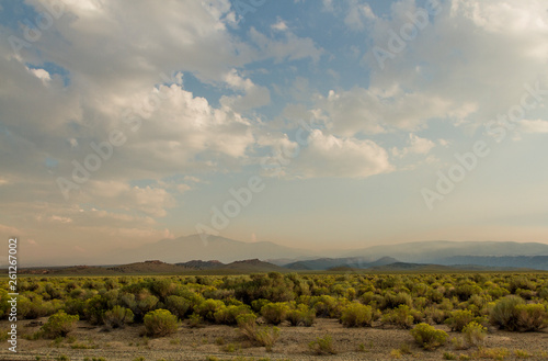 DESERT