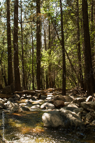 YOSEMITE PARK