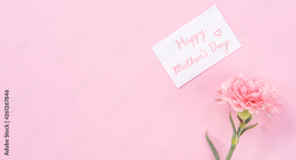 Top view, flat lay, mock up, copy space, handwritten greeting card template isolated with pale pink background, idea concept of thanks, wishes, craft carnations bouquet