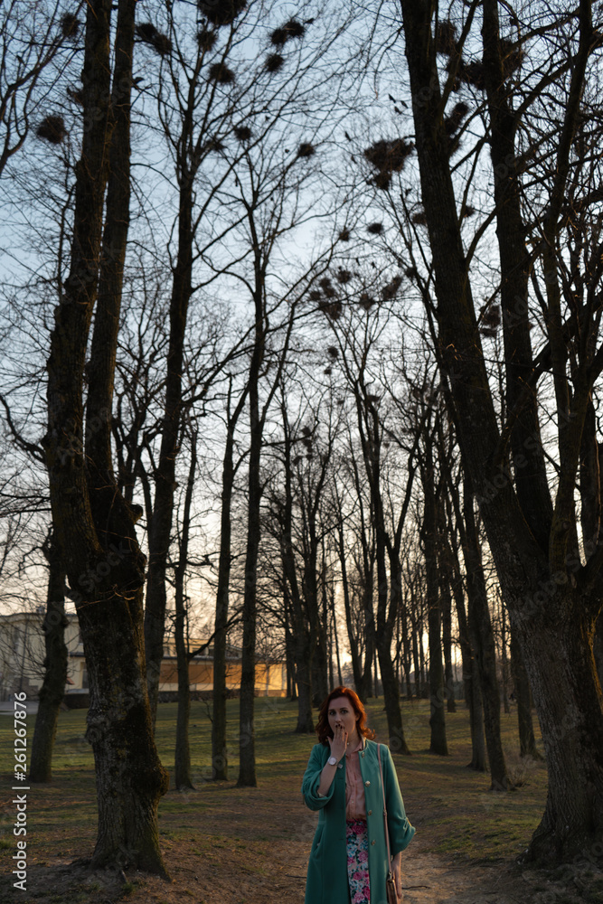 Young female ornithologist observing rooks nesting high up in trees in Spring - Bauska, Latvia, 2019 Young female ornithologist observing rooks nesting high up in trees in Spring - Bauska, Latvia, 2019