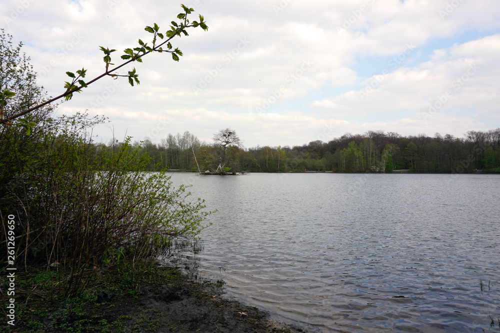 Rotbachsee im Frühling Rotbachsee im Frühling