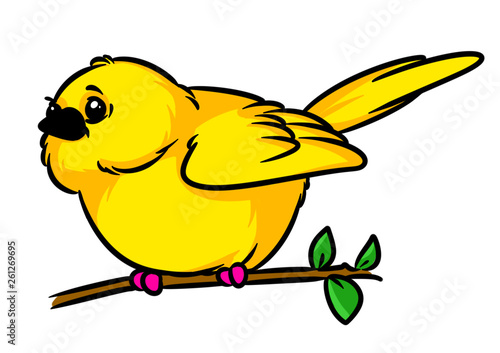 Canary little yellow bird animal character sitting branch cartoon illustration isolated image 