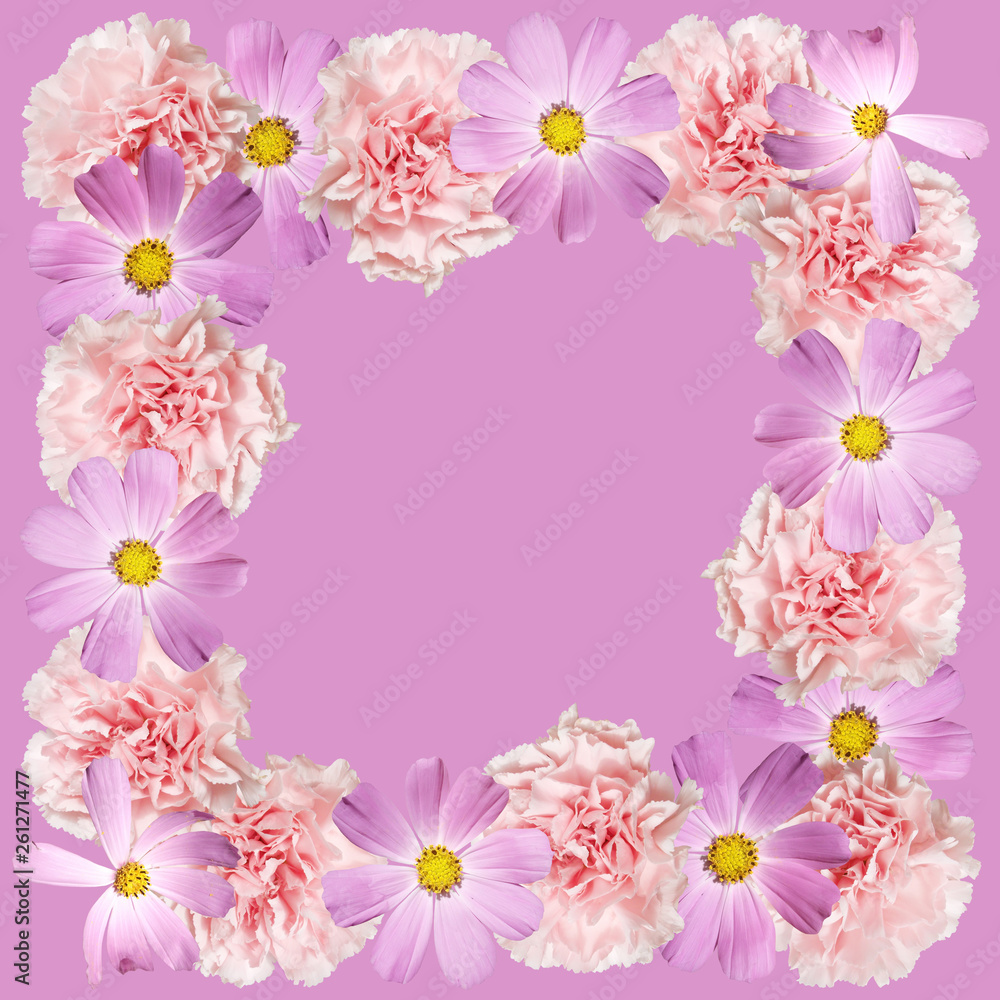 Beautiful floral pattern of kosmeya and carnations. Isolated