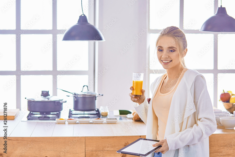 beautiful young woman using a digital tablet in the kitchen beautiful young woman using a digital tablet in the kitchen