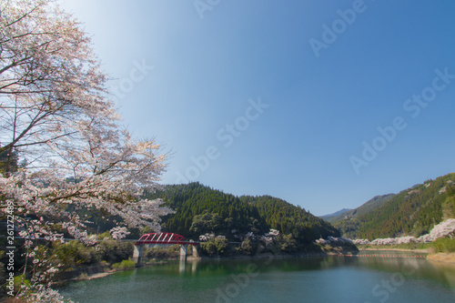日向神ダムと桜　hyugami dam and cherry blossoms　福岡県八女市