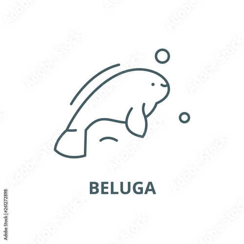 Beluga line icon, vector. Beluga outline sign, concept symbol, illustration