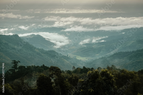 Aerial view of green forest with sea of fog and clouds around mountain range  Nanthaburi National Park. Nan province  Thailand.