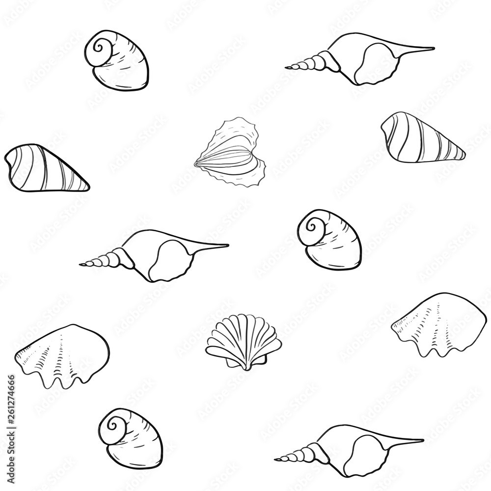 Obraz premium seashells line vector background 