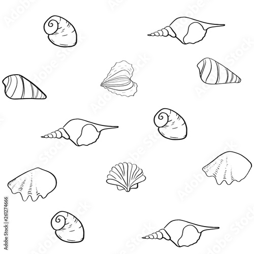 seashells line vector background 