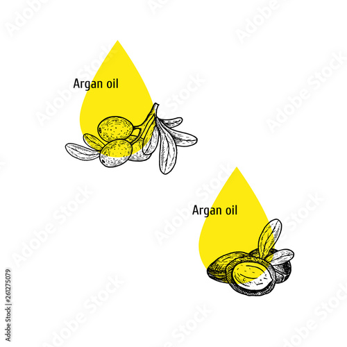 Argan oil icon set. Hand drawn sketch. Extract of plant. Vector illustration