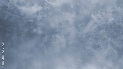 Floating organic dust liquid particles abstract background. © gen_oksi