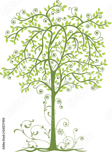 A decorative deciduous tree