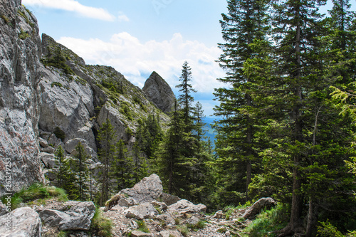 mountain landscape in the romanian carpathians