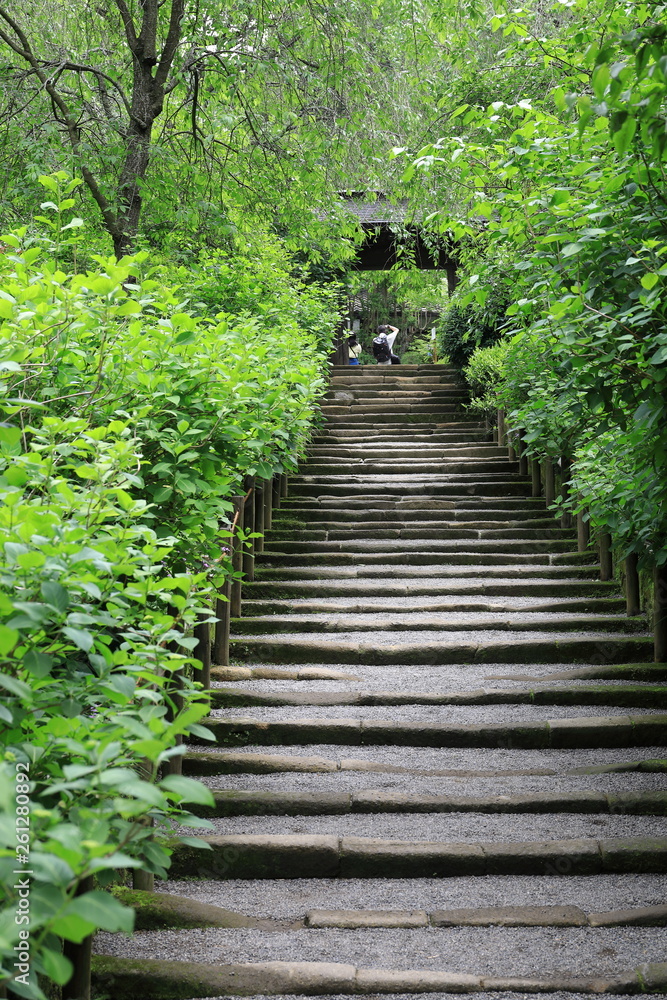 新緑の風景