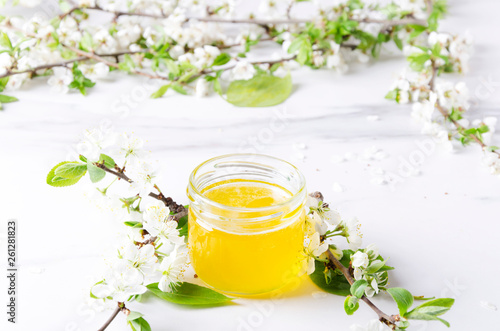 Beautiful white blossom petals, spring branches and open glass jar with honey on white surface